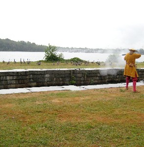 Art Firing at Geese 2