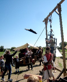 Throwing the skunk at the gibbet