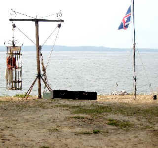 Billy Bones and the colors