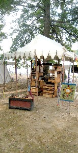 Sign of the Green Turtle