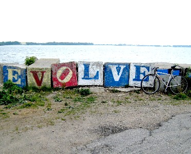 The bike in front of concrete blocks