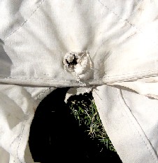 MD's Idea of an Eyelet