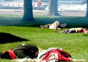 The dead and wounded