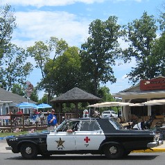 Roscoe in his police car