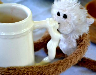 Lob, Kissing the Porcelean Mug