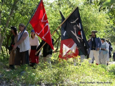 Flag parade 2 in the woods