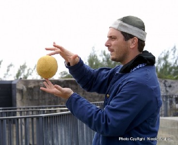 Dutching using a Grapefruit to explain the world