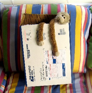 Lob Arrives in the Diplomatic Bag