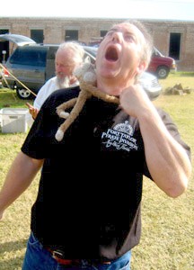 madPete attacked by Lob!