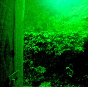 Ocean Bar Glass Floor