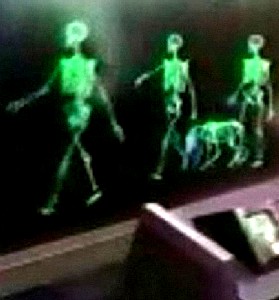 Skeleton on Image Screen