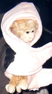 Lob in the Random Street Hat