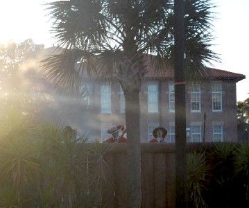 Spaniards poking their heads above the wall