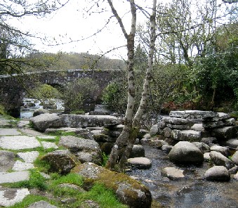 River Dart Bridges