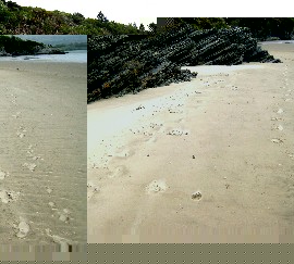 Portmeirion Estuary Beach 2