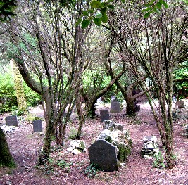The Portmeirion Dog Cemetary