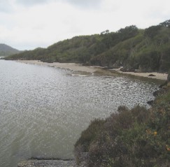 The Estuary and Beach
