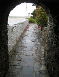 Tunnel to the Walking Paths