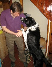 Mission and Ed's Dog Up